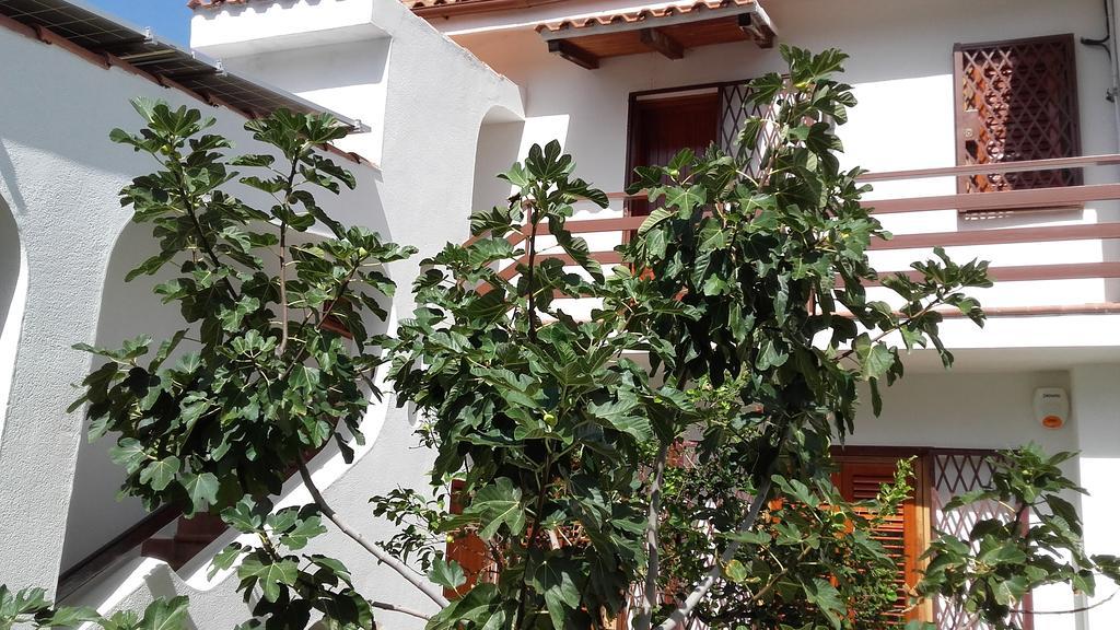Villa Modus Vivendi Cinisi Extérieur photo